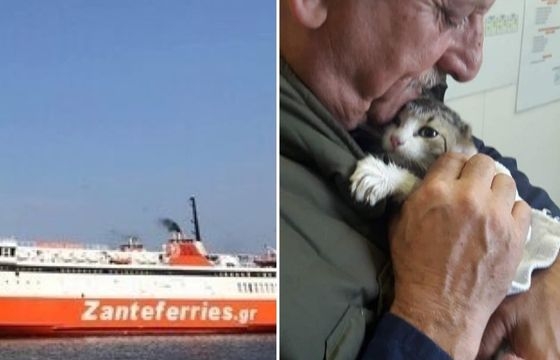 Διάσωση γατουλή που είχε εγκλωβιστεί από το πλήρωμα της Zante Ferries 